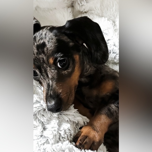 Hi Friend, I’m Christeena - Picture 12 of 16